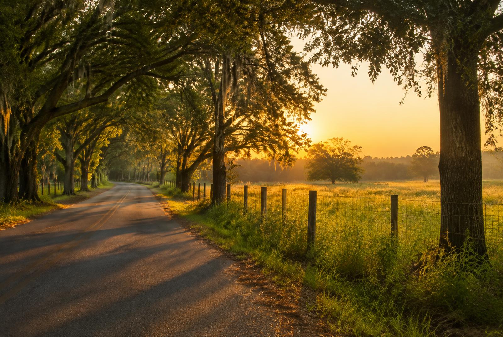 Representative lifestyle imagery for the Dacula guide